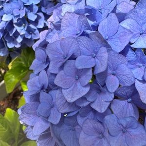 Meet your Posher, Marialyn